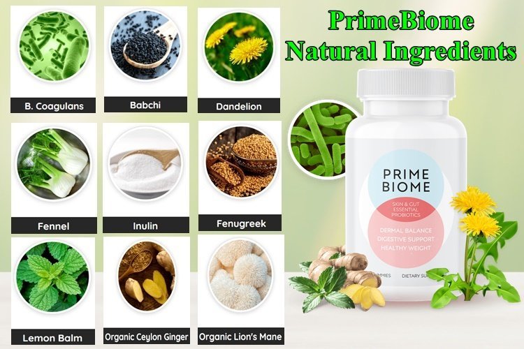 Prime Biome Ingredients
